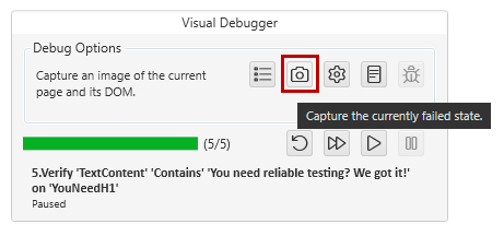 Visual Debugger capture state