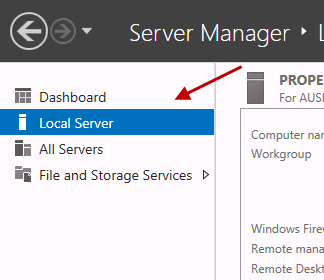 Local Server