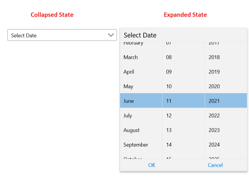 WinUI Rad Date Picker Overview